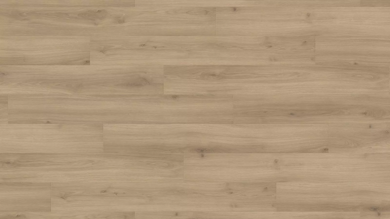 Ламинат Haro Tritty 100 Дуб Эмилия Пуро 32 класс арт.538691