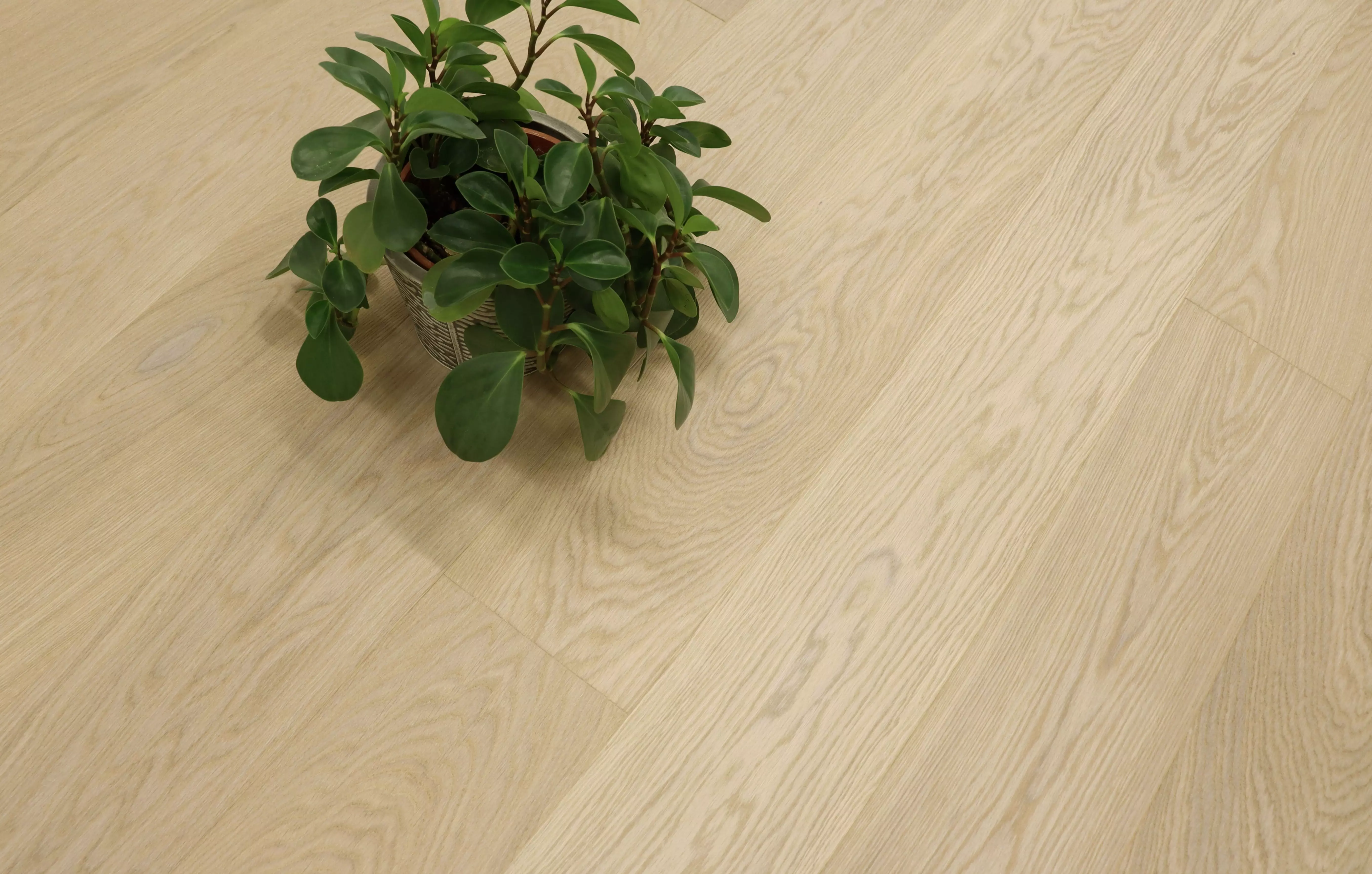 Паркетная доска Karelia Bloom Oak 4 story daisy deep matt (2266x188x14мм) 3,41 м2/уп